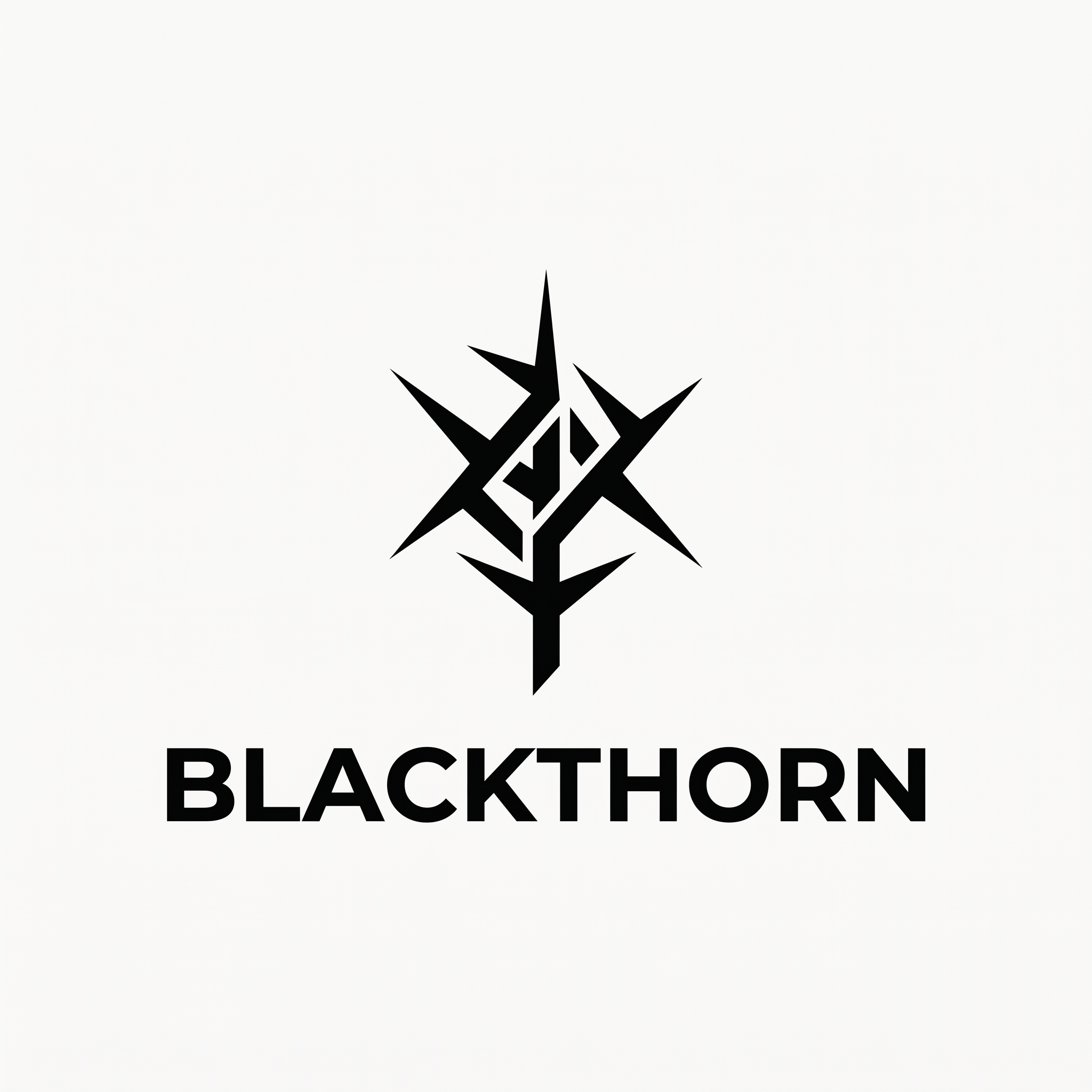Логотип BlackThorn: графический знак и название бренда